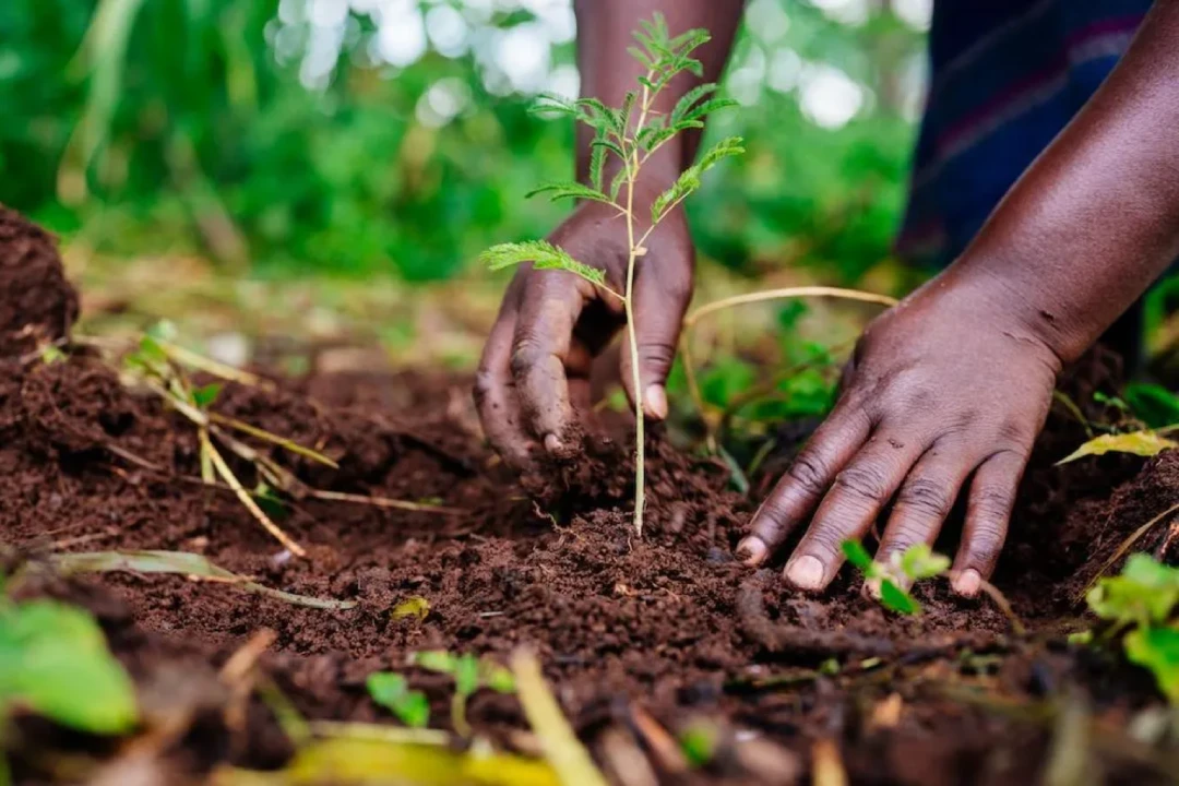 Environmental Sustainability